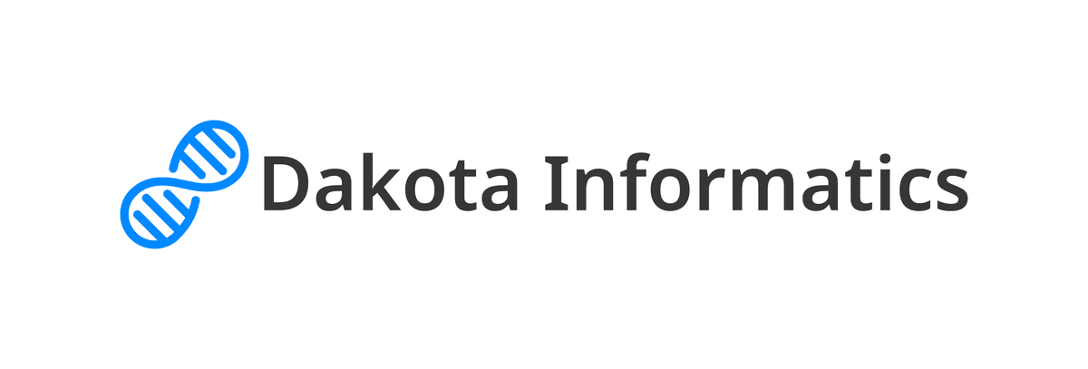 Dakota Informatics Logo